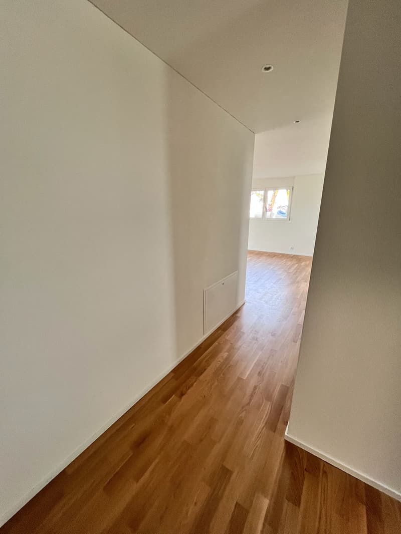Appartement au rez-de-chaussée avec vue panoramique dans le meilleur emplacement ensoleillé du Zürcher Weinland (5)