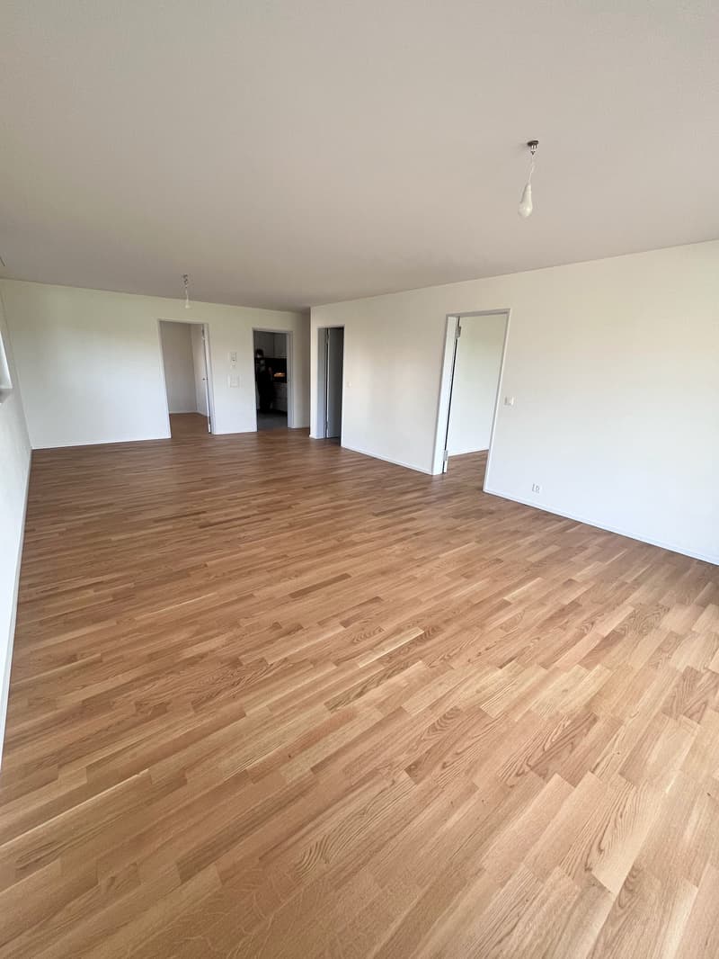 Appartement au rez-de-chaussée avec vue panoramique dans le meilleur emplacement ensoleillé du Zürcher Weinland (2)
