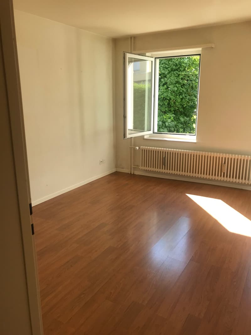 Appartamento accogliente di una stanza a est della città di St. Gallen (1)