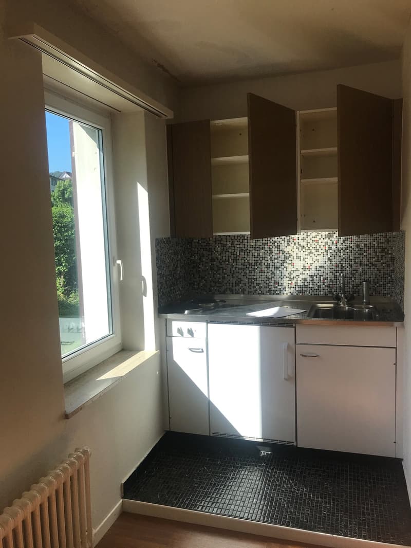 Appartamento accogliente di una stanza a est della città di St. Gallen (3)