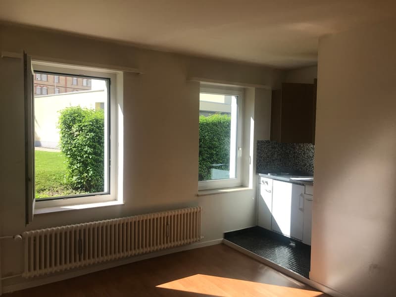 Appartamento accogliente di una stanza a est della città di St. Gallen (2)