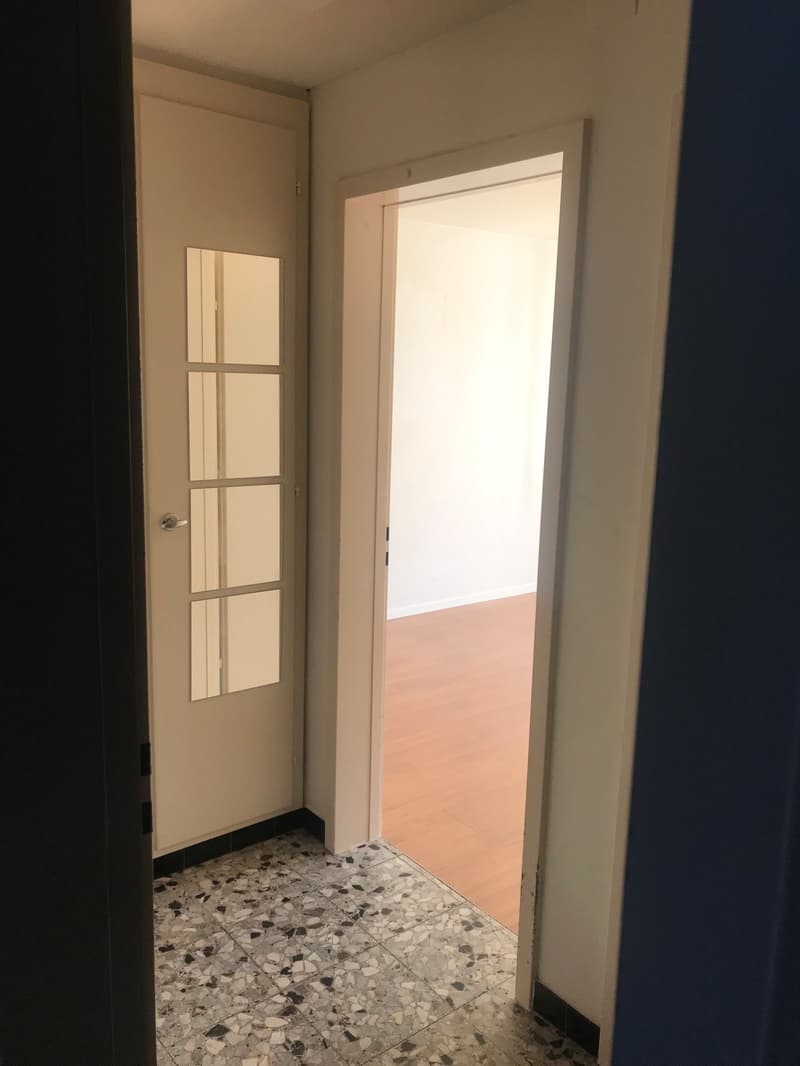 Appartamento accogliente di una stanza a est della città di St. Gallen (4)
