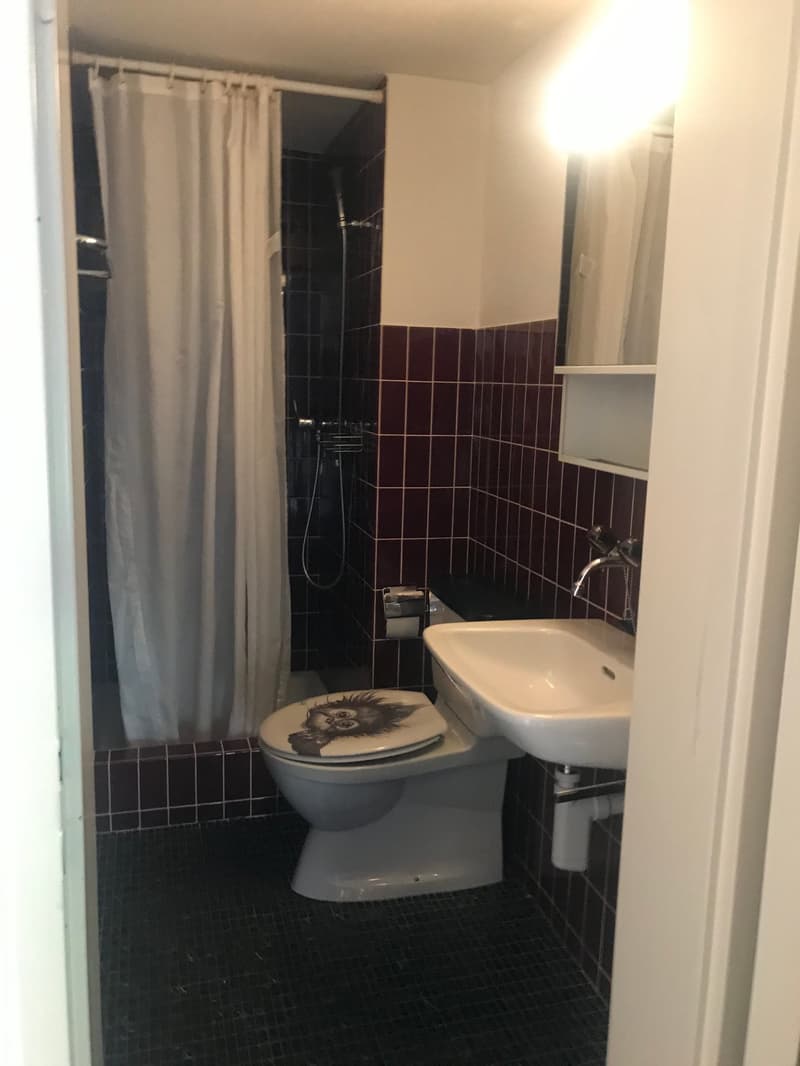 Appartamento accogliente di una stanza a est della città di St. Gallen (5)