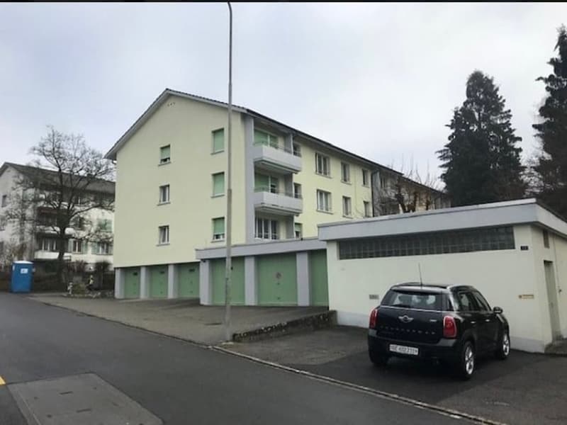 Attraktive 6.5-Zimmerwohnung in Langenthal: Ruhig gelegen und kinderfreundlich (1)