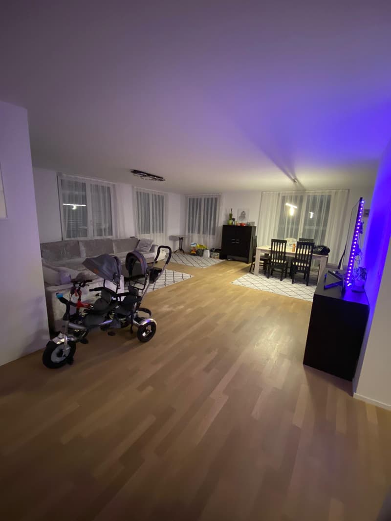 Helle und moderne 4.5 Zimmer Wohnung in Wil ZH (1)