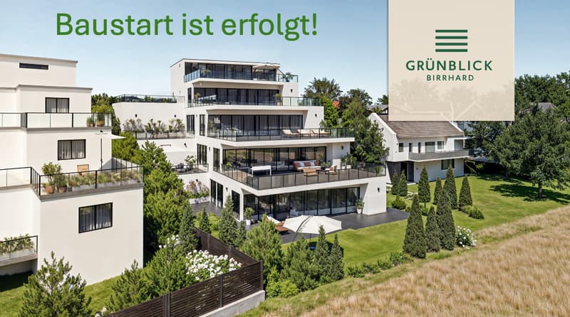 Dernière maisonette 5.5 pièces avec deux terrasses à Birrhard (10)