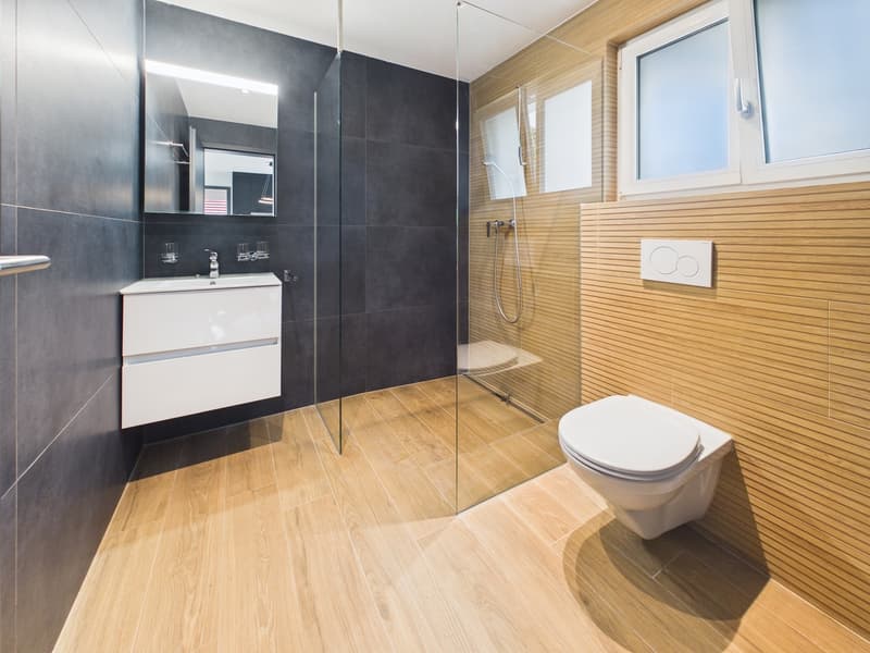 Rental Property / Multi-Generation House in Fahrwangen AG (8)