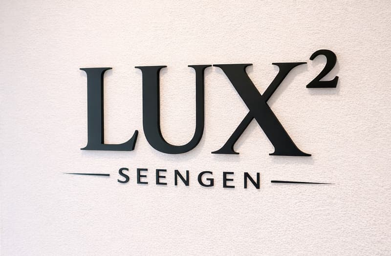 Luxurious New Apartment in Seengen (6)