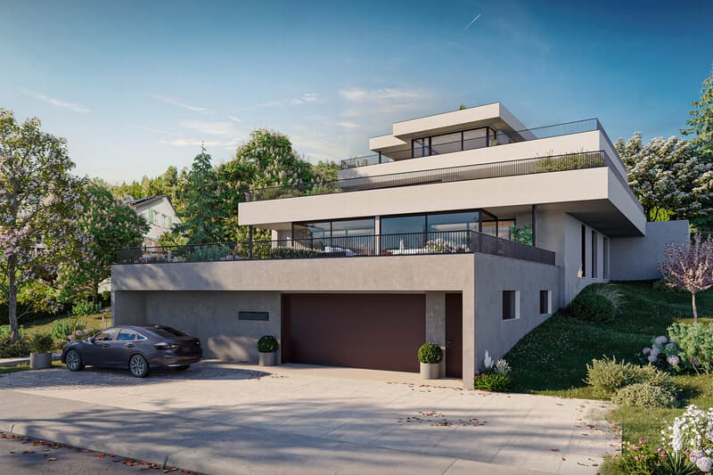 Luxurious New Apartment in Seengen (1)