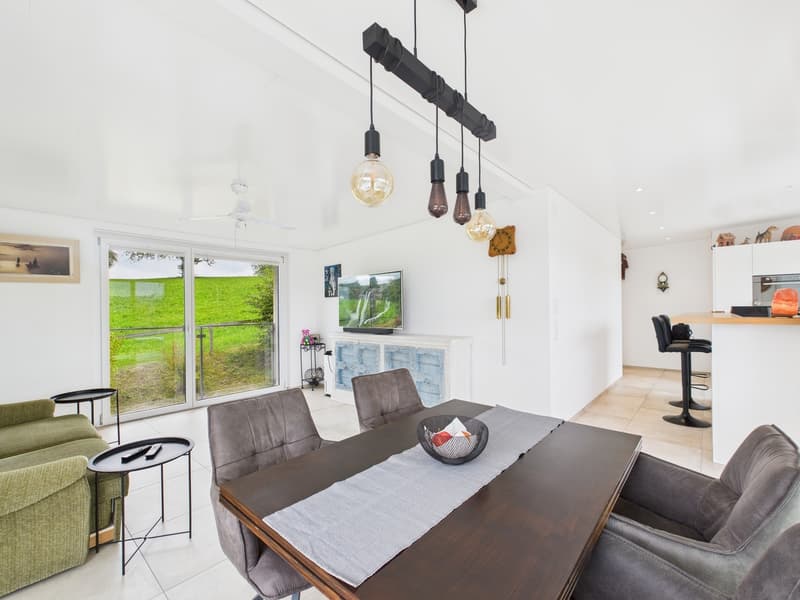 Modern attic apartment with terrace (2)