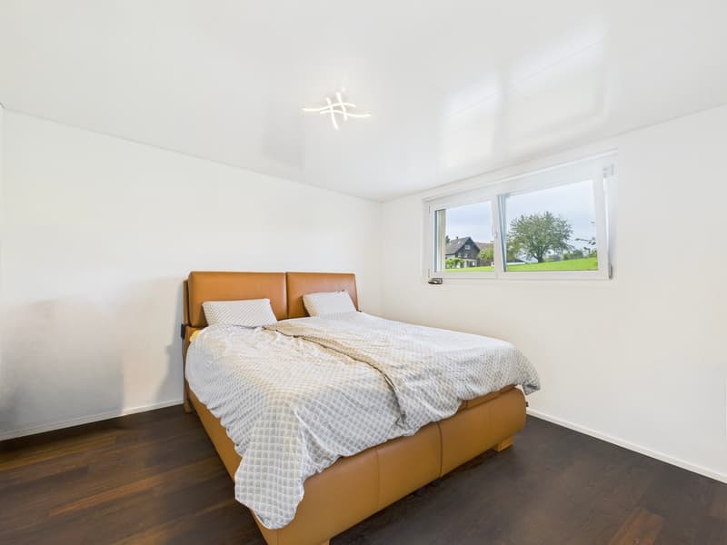 Modern attic apartment with terrace (6)