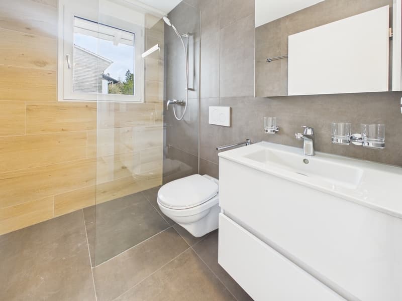 Rental Property / Multi-Generation House in Fahrwangen AG (11)