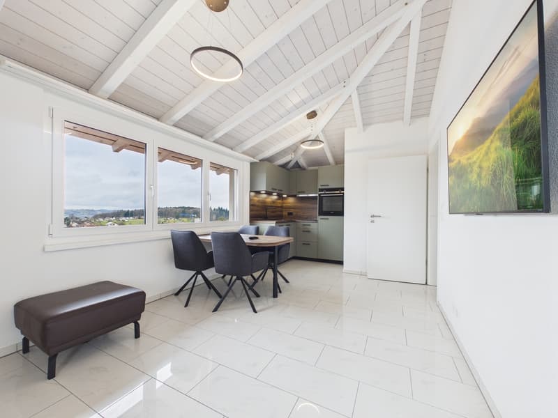 Rental Property / Multi-Generation House in Fahrwangen AG (10)
