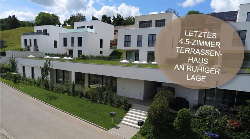 Last Available 4.5-Room Terrace House in a Quiet Location (1)