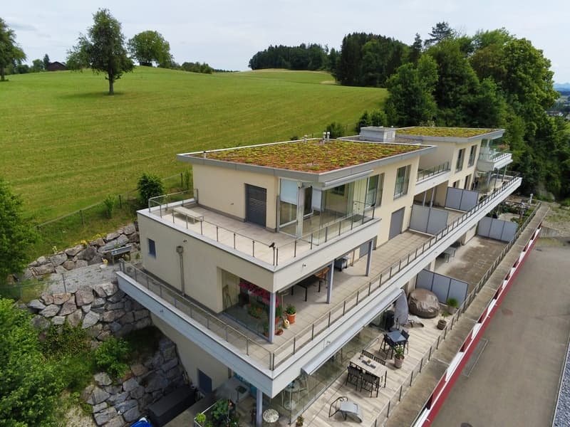 Moderne 3.5-Zimmer Attikawohnung mit Terrasse (6)