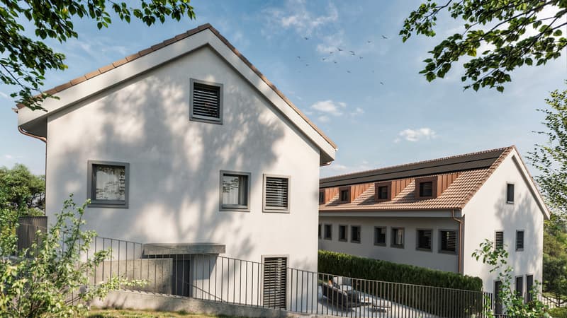 Exklusives Neubau 5.5-Zimmer Doppeleinfamilienhaus in Wohlenschwil AG (10)
