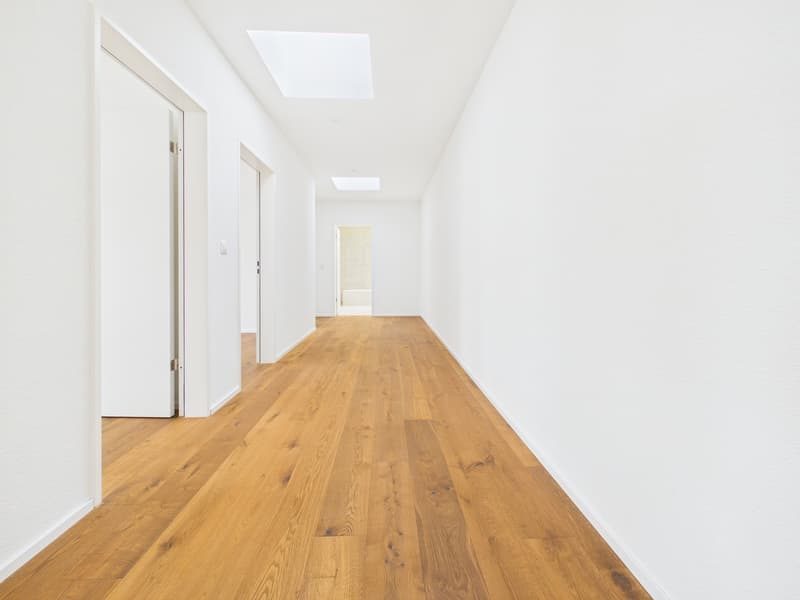 Erstbezug 4.5-Zimmer Terrassenhaus an ruhiger Lage Hilfikon (13)