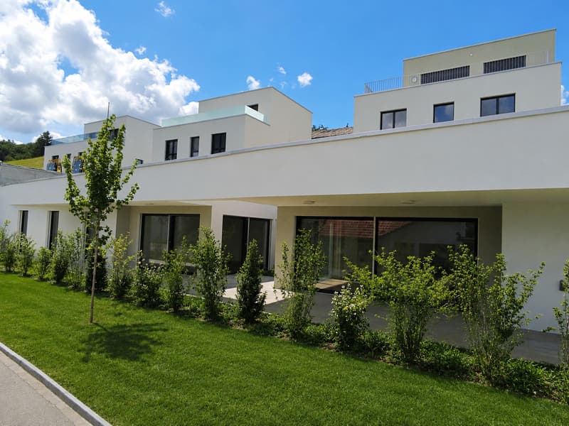 Erstbezug 4.5-Zimmer Terrassenhaus an ruhiger Lage Hilfikon (1)