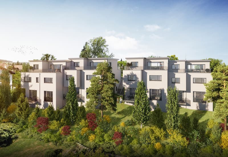 Neubau 5.5-Zimmer Doppelhaus an begehrte Lage Oberrohrdorf AG (6)