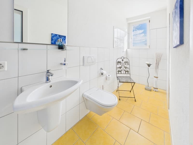 6.5-Zimmer Liebhaber Villa mit Swimmingpool in Seon (4)
