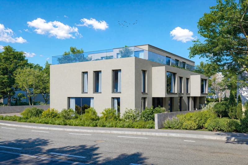 Luxuriöse 5.5-Zimmer-Attikawohnung mit 84 m² Panoramaterrasse (2)