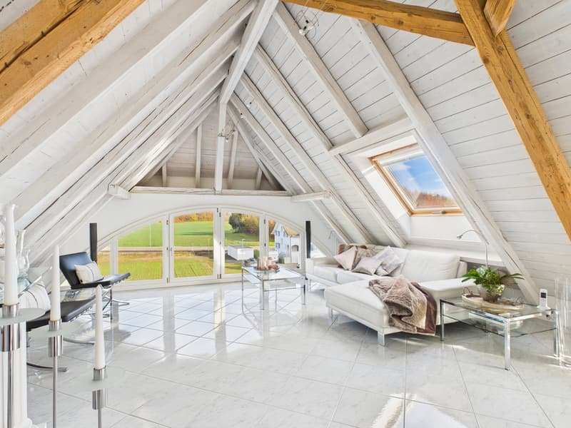 6.5-Zimmer Liebhaber Villa mit Swimmingpool in Seon (11)