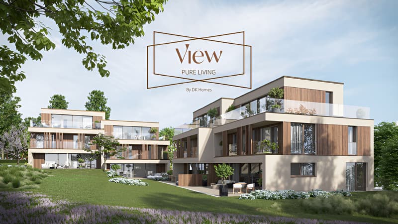 Reserviert: 6.5-Zimmer-Neubau-Doppelhaus in Dänikon (3)