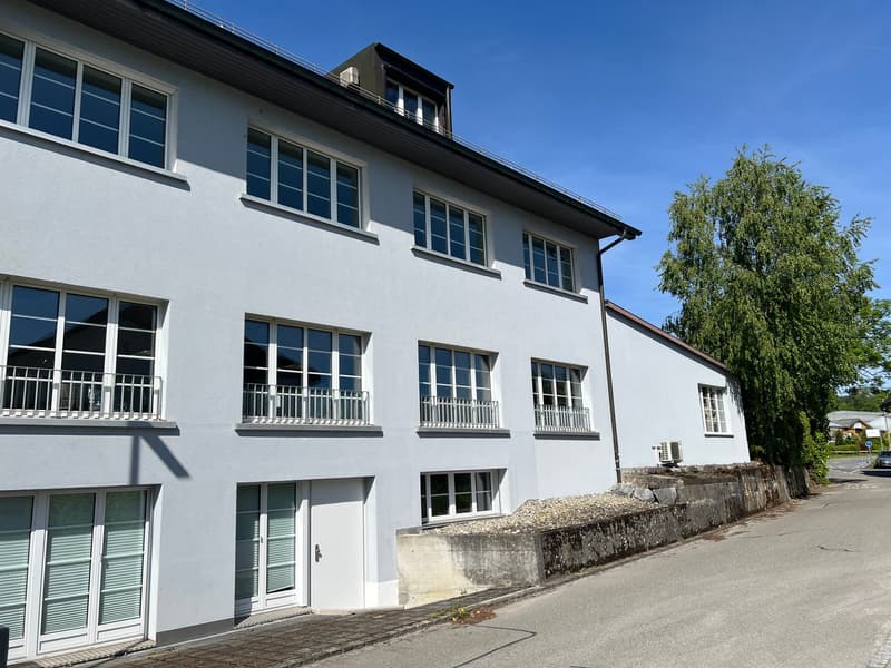 Locaux commerciaux dans un emplacement central à Maur (1)