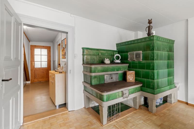 9-room row house in a quiet and rural location (6)