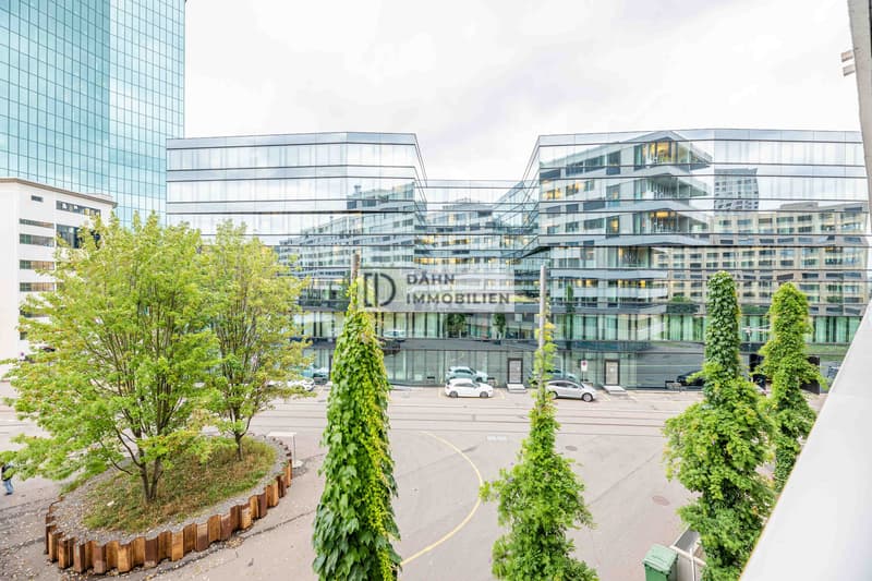 3.5-Room Minergie Apartment with Loggia for Rent in Zurich (11)