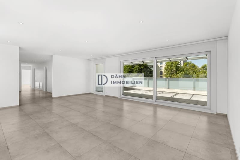 Lichtdurchflutete 5.5-Zi.-Attika mit 130 m² Terrasse in Schlieren (6)