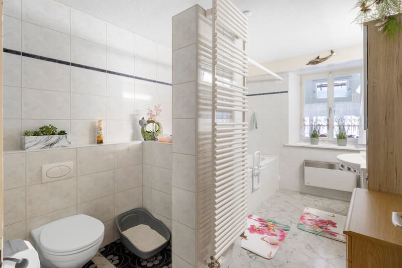 Charmantes 9-Zimmer-Reihenhaus mit Garage in Trasadingen kaufen (10)