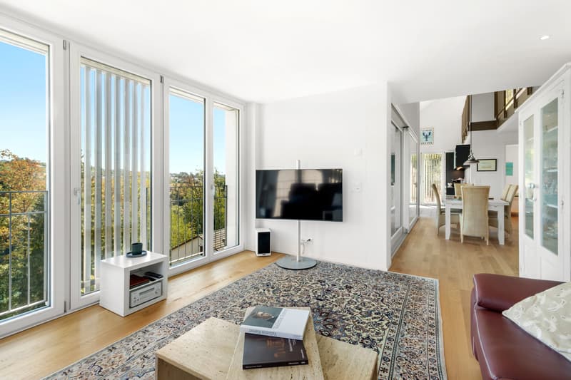 Fantastische 4-Zimmer Maisonette- Wohnung mit Rheinblick (7)