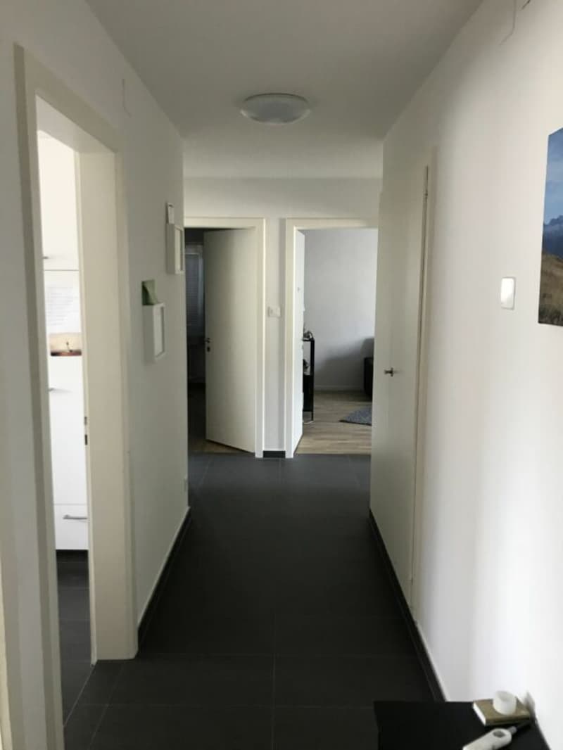 Appartement de 4.0 pièces fraîchement rénové avec balcon (5)