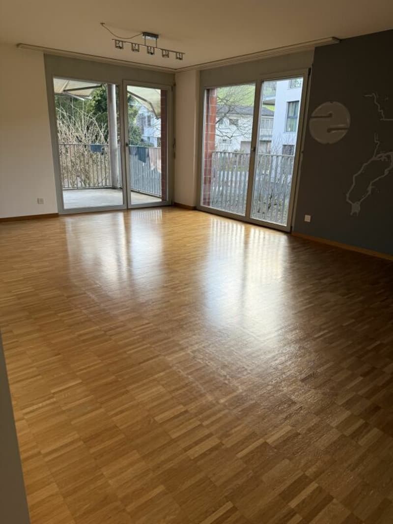 Appartamento luminoso e spazioso di 4,5 locali in una zona tranquilla (5)