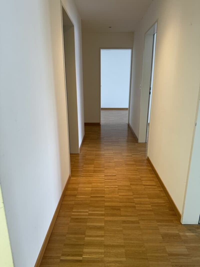 Appartamento luminoso e spazioso di 4,5 locali in una zona tranquilla (10)