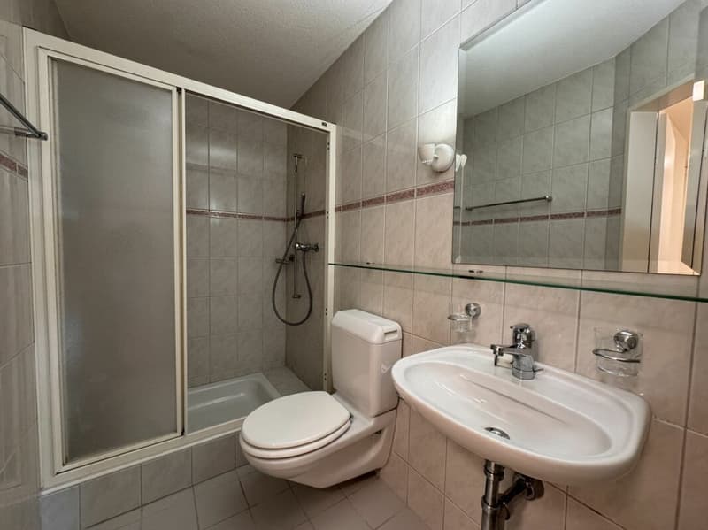 Appartement confortable de 3,5 pièces dans un endroit calme (8)