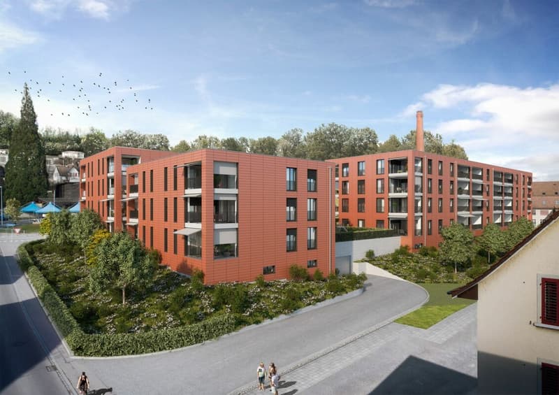 Appartamento attraente e luminoso di 3,5 locali a Niedergösgen (1)