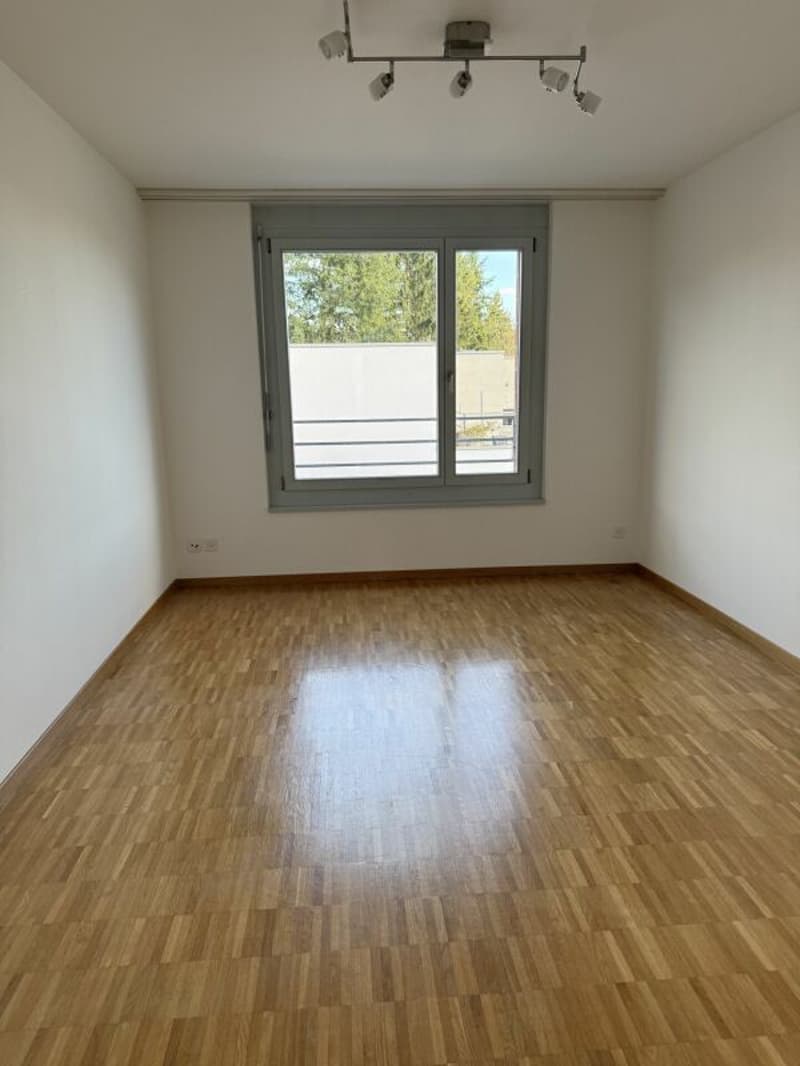 Appartamento attraente di 4,5 locali in una zona residenziale tranquilla a Küttigen (8)