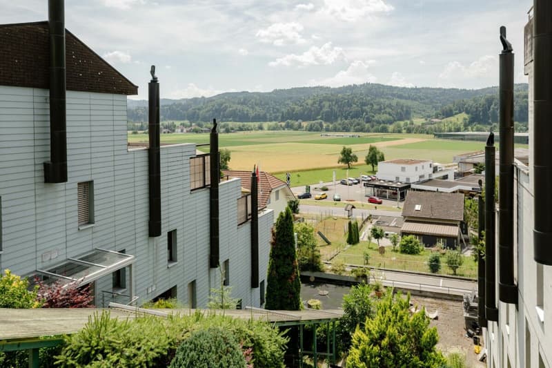 5.5-Zimmer-Terrassenhaus mit freiem Blick ins Grüne (2)