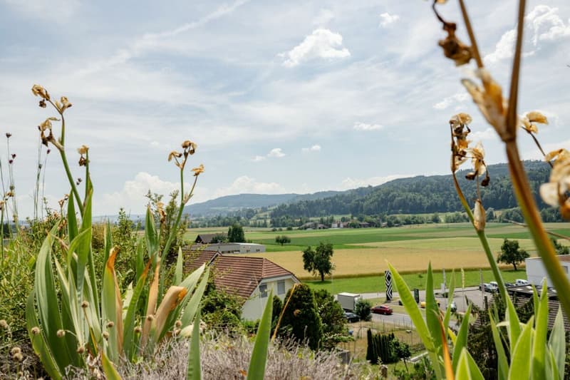5.5-Zimmer-Terrassenhaus mit freiem Blick ins Grüne (4)