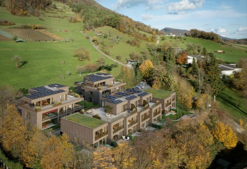 Grosszügige 5.5-Zimmer-Gartenwohnung im Erstbezug (9)