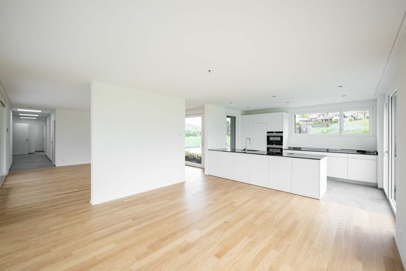Appartement d'attique exclusif avec vue panoramique fantastique (1)
