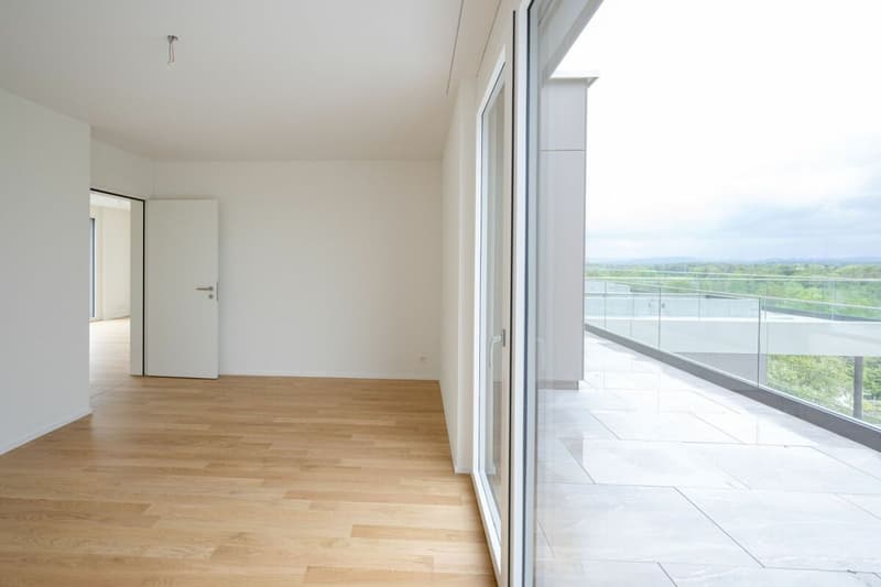 Appartement d'attique exclusif avec vue panoramique fantastique (6)