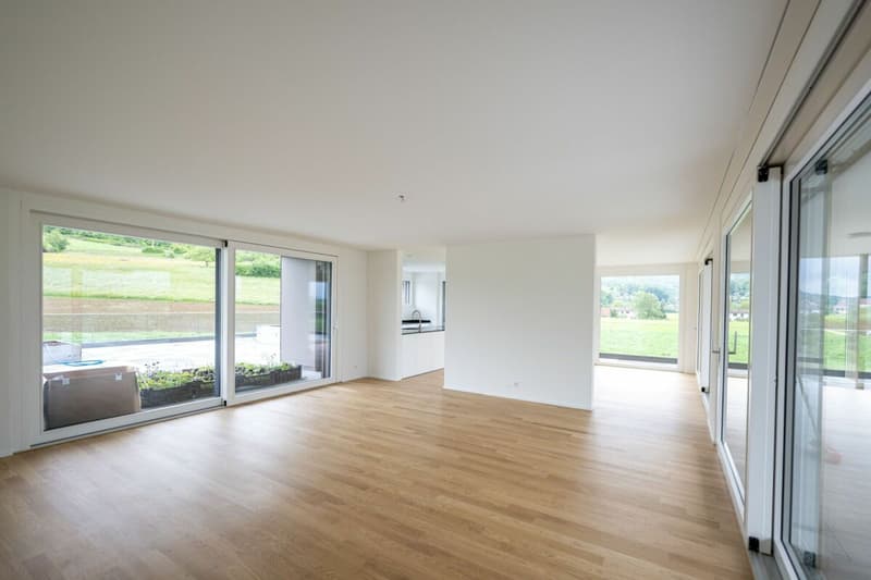 Appartement d'attique exclusif avec vue panoramique fantastique (2)