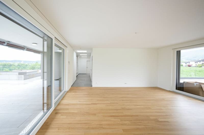 Appartement d'attique exclusif avec vue panoramique fantastique (3)
