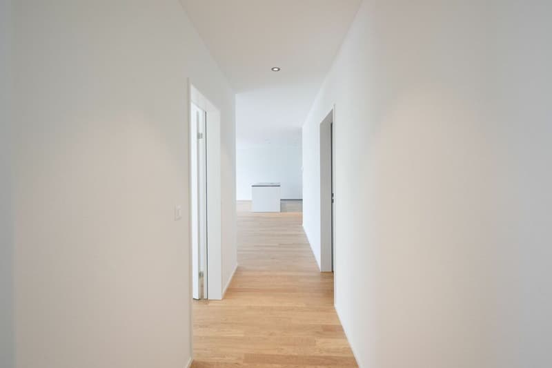 Modern and nature-connected 3.5-room apartment (9)