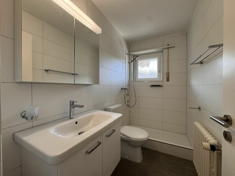 Appartement attractif de 2.0 pièces à Schönenwerd (6)
