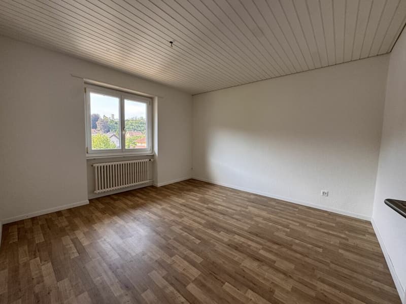Appartement attractif de 2.0 pièces à Schönenwerd (4)