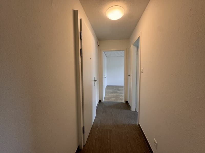 Appartement attractif de 2.0 pièces à Schönenwerd (5)